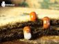 Preview: Brekzien Jaspis, dread accessoires, beads for dreadlocks, dreadlock style, gypsy jewelery, Fantasy, Bohemian, Cosplay, Hippie, Festival jewlery